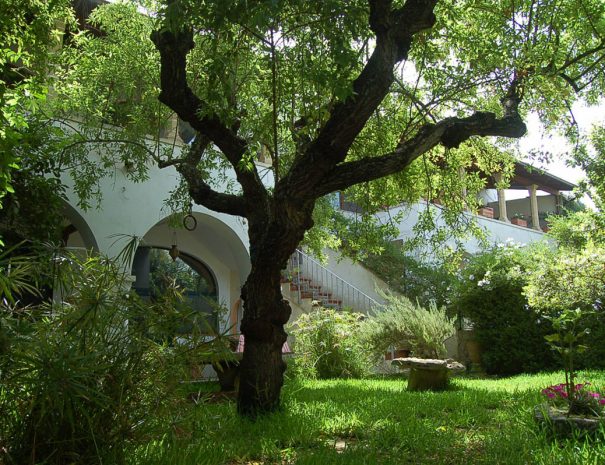 Giardino